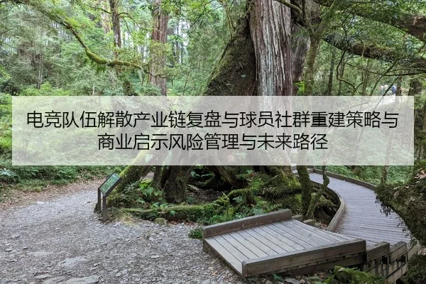 电竞队伍解散产业链复盘与球员社群重建策略与商业启示风险管理与未来路径